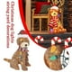 thumbnail image 3 of Holiday Living Christmas Led Light Up Fluffy Doodle Dogs Decor Gift, 3 of 5