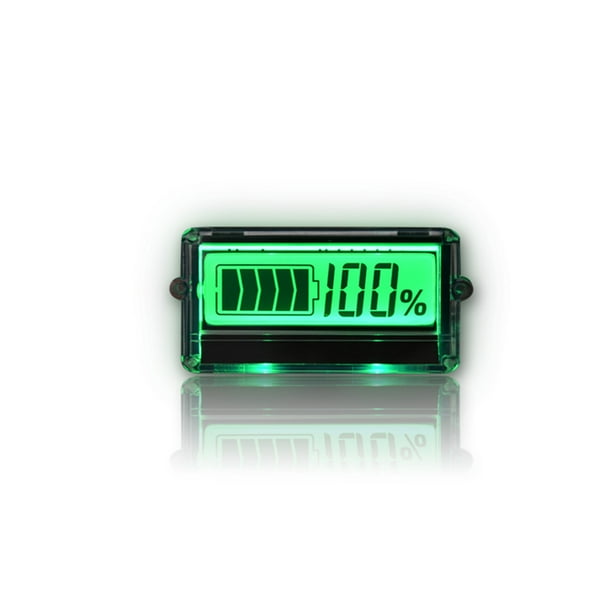 Sidaley Indicador de TH01 Porcentaje LCD Claro Pantalla de cristal líquido simple Baterías Pantalla Robusto Azul Verde Coche Automoción decorativa y accesorios Ácido plombico 12-48V Sidaley VI018582-01