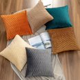 thumbnail image 5 of Juego de 2 fundas de almohada decorativas de terciopelo con textura, estilo lujoso, suave, funda de almohada de granja para sofá, dormitorio, sofá (18.0 x 18.0 in), 5 of 5
