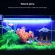 thumbnail image 4 of Lámpara de iluminación de acuario LED IP68 Luz subacuática impermeable para pecera Adepaton LL-0319, 4 of 5