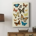 thumbnail image 5 of Collected Flutter II Premium Gallery Wrapped Canvas - Ready to Hang, 5 of 9