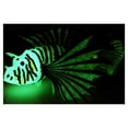thumbnail image 4 of Fish  Decoration, Soft Fake Fish, Colorful Landscape Decoration Pets Animals Aquarium For Fish, 4 of 5