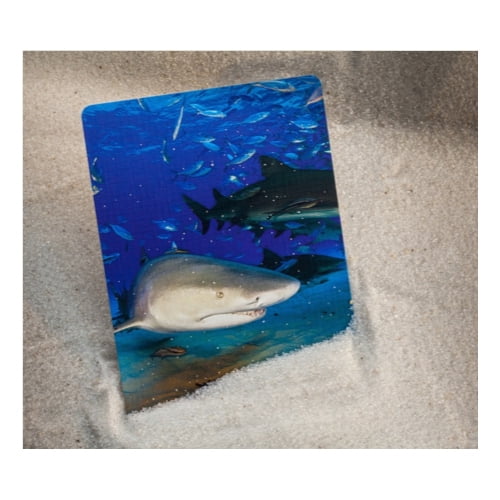 SHARK DECK PLAYING CARDS 6個+専用箱セット $_57.JPG?set_id=880000500F
