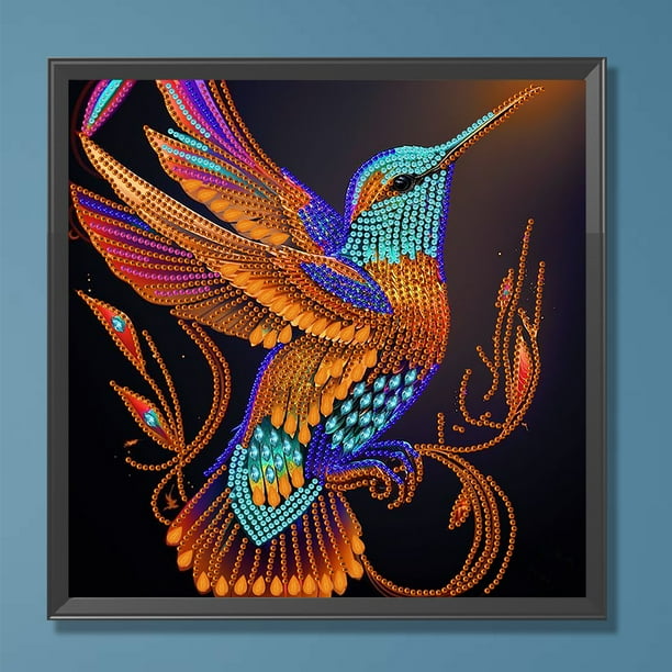 Cuadros Decorativos Kit de pintura de diamante con forma especial parcial de bricolaje 5D Colibrí (LY070) Wdftyju embutido en tela