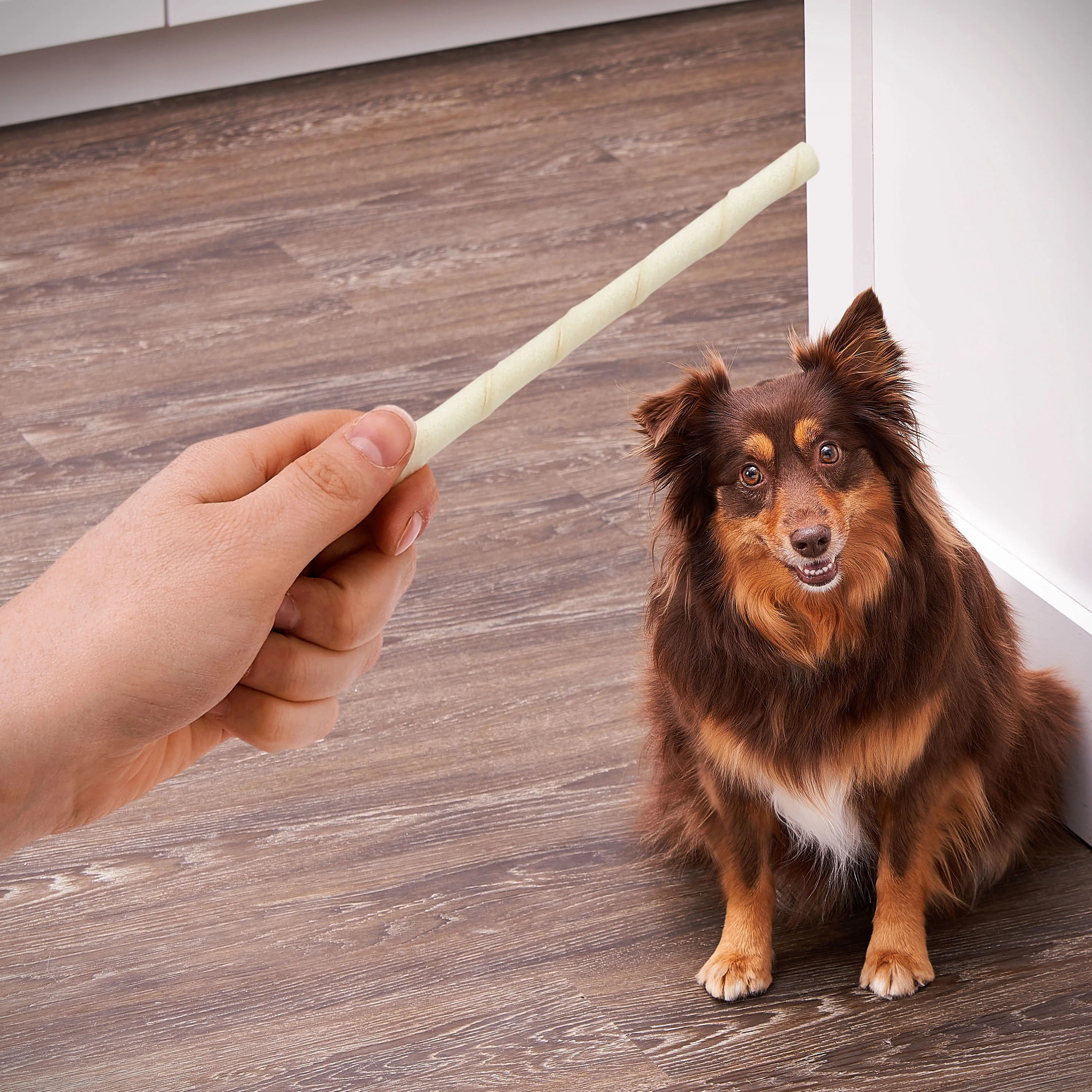 (6 pack) Ol Roy 5-inch Rawhide Sticks Natural Beef hide, Chews for Dogs, 11.4 oz, 50 Count