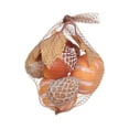 thumbnail image 3 of 5.5in Harvest PL Bagged PP Acorn/Pumpkin, 3 of 4