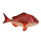 thumbnail image 1 of Figuras oceánicas Zulema de modelos de acción Pargo, 1 of 8