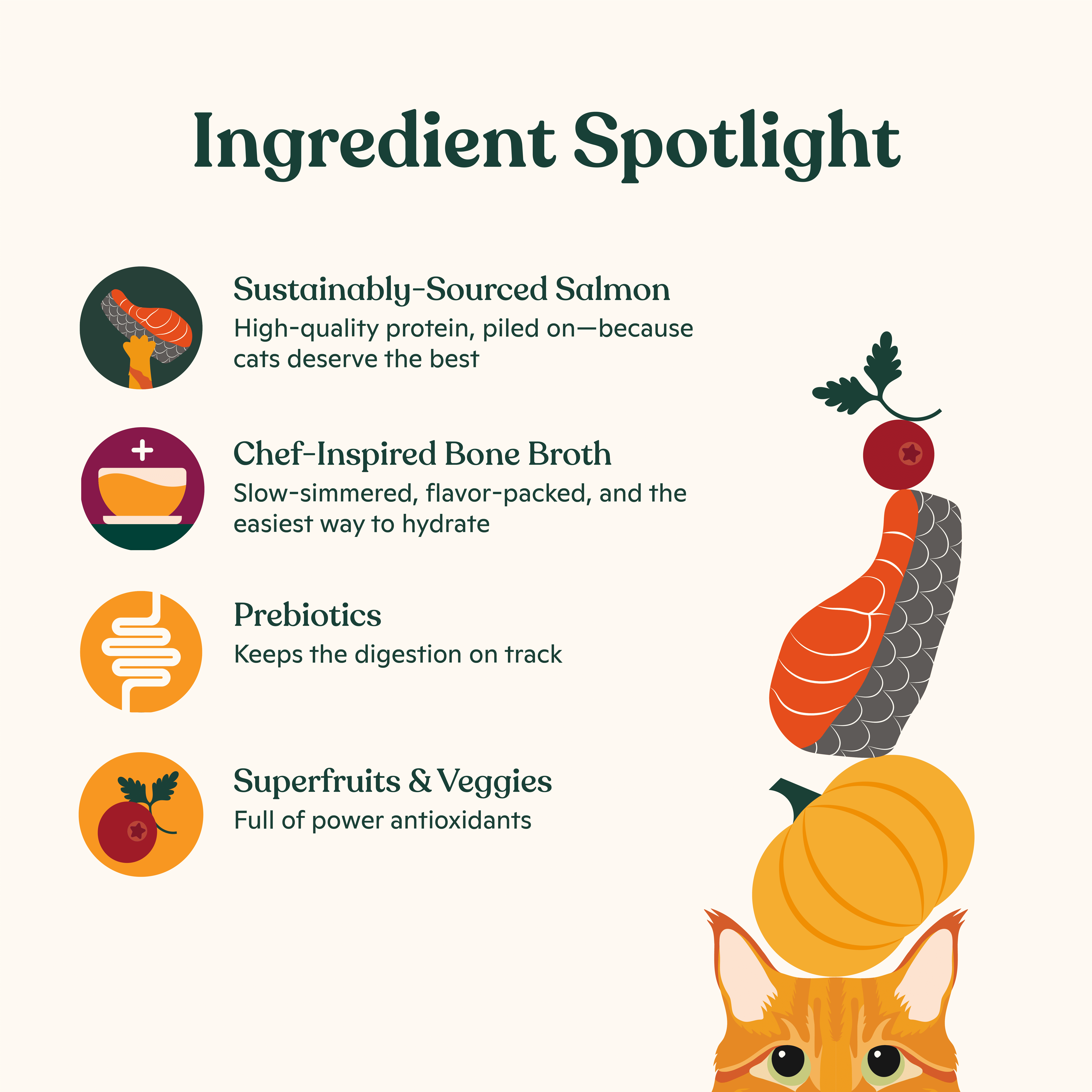 Made by Nacho Dry Cat Kibble, Infused with Bone Broth for Hydration, Sustainably Caught Salmon and Pumpkin, High Protein and Grain-Friendly Premium Cat Food, Limited Ingredients, 3lb Bag