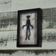 thumbnail image 2 of Gothic Mummified Fairy Fairy Skeleton Witchy Decor Fairy Specimen Statue Picture Frames Display Painting Home Decor,A, 2 of 5