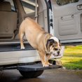 thumbnail image 3 of Pet Ramp Step Otto Step ayuda a los perros a entrar y salir del coche, 3 of 7