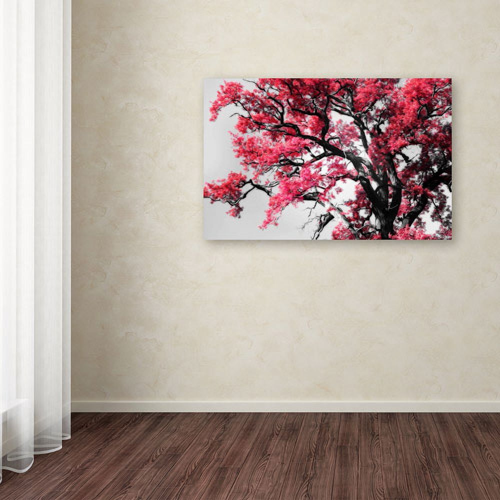 Trademark Fine Art "Glowing Tones" Canvas Art by Philippe Sainte-Laudy