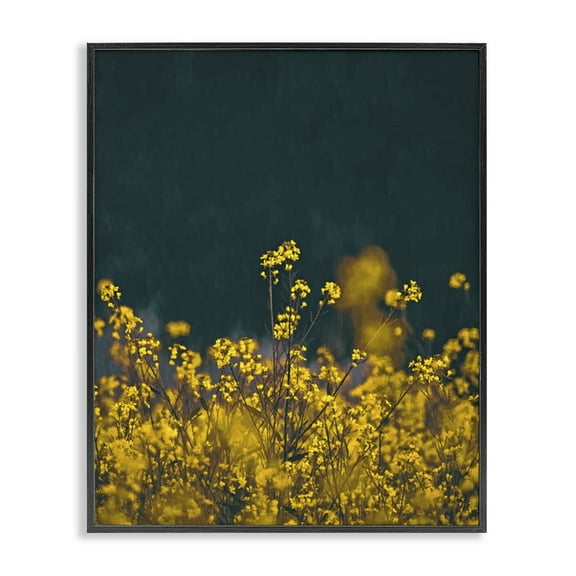 Stupell Industries Marigold Meadow Flowers Plants & Flowers Photography Black Framed Art Print Wall Art, 11 x 14
