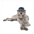 thumbnail image 3 of Ambesonne Irish Wolfhound Duvet Cover Sets, Dog in a Hat Image, 2-King, White and Warm Taupe, 3 of 7