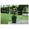 thumbnail image 4 of Square Nursery Pot 1.5 Gallon Plastic Planters for Outdoor Indoor Plants 10-Pack with Drainage Holes Green, 4 of 4