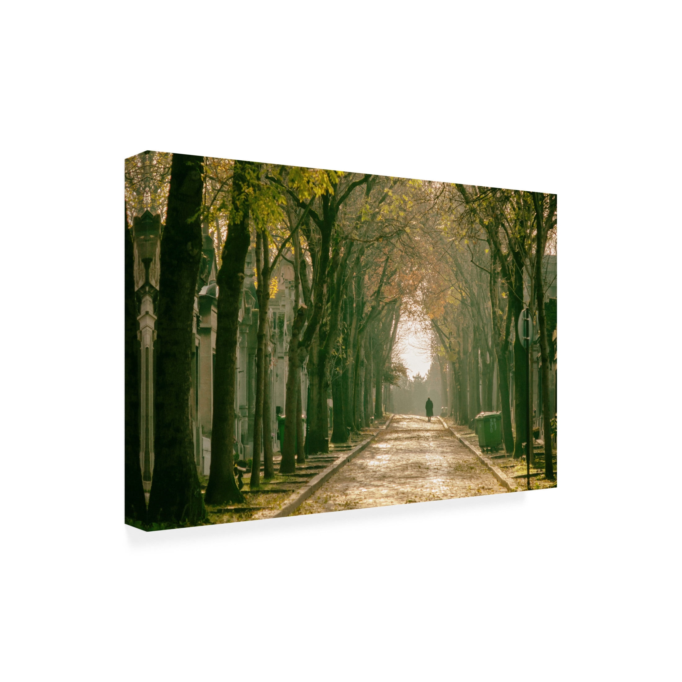 Trademark Fine Art Renate Wasinger Tiryakioglu Untitled Canvas Wall Art