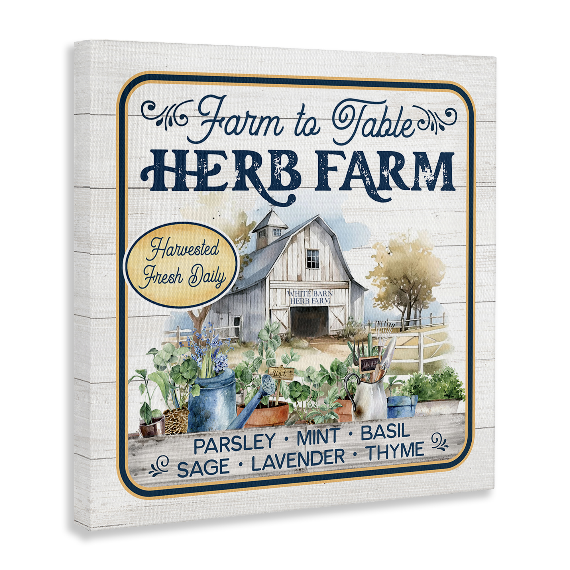 Stupell Industries Fresh Daily Herb Farm Text & Numbers Painting Wrapped Canvas Art Print Wall Art, 30 x 30
