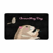 POP Bright Fun Artisan Graphic Works for Groundhog Day Front Door Mat 30x18 Inches Welcome Doormat for Home Indoor Entrance Kitchen Patio