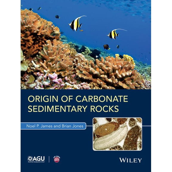 Pre-Owned Origin of Carbonate Sedimentary Rocks (Wiley Works) Paperback