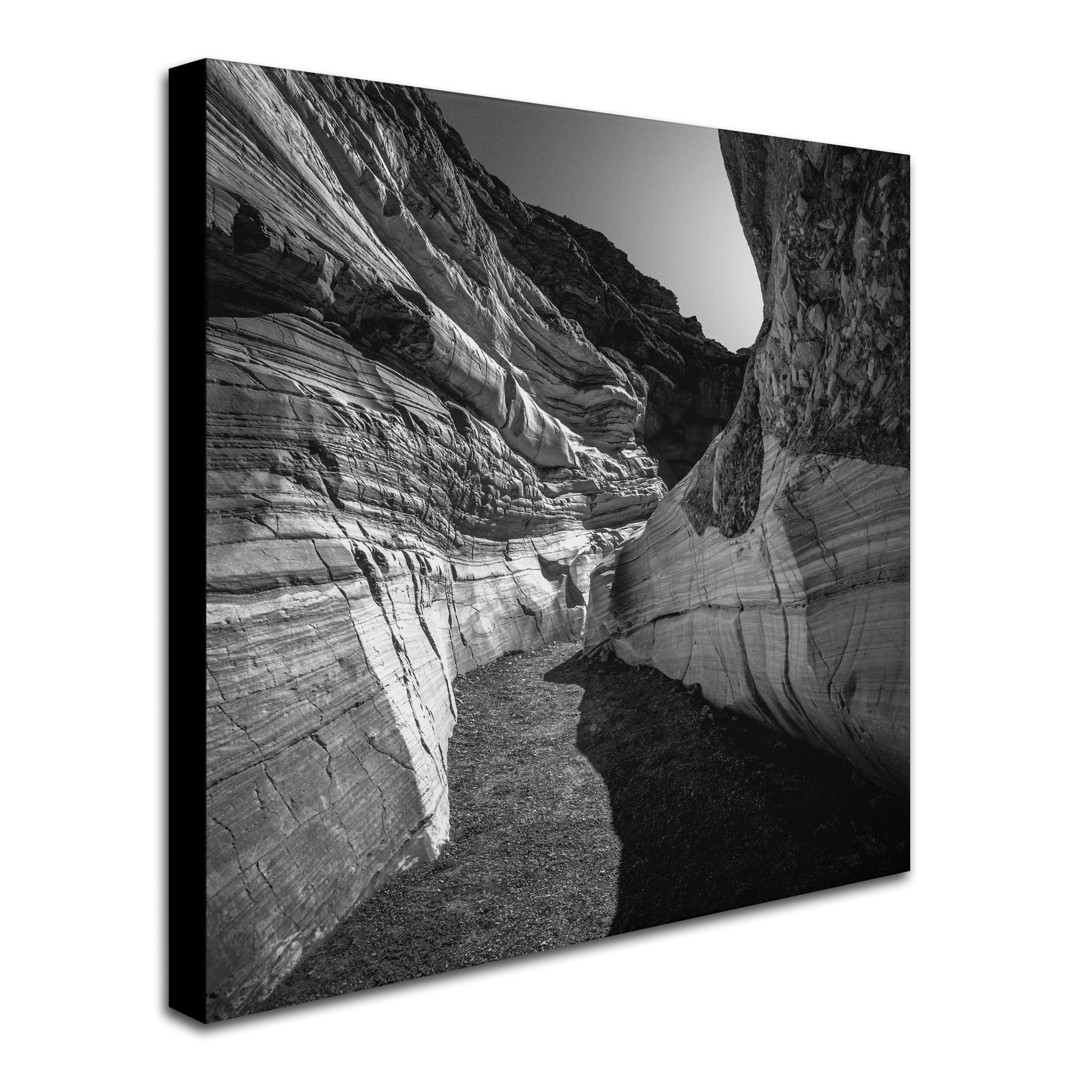 Trademark Fine Art Dave MacVicar 'Yin Yang' 35 x 35 (ALI0880-C3535GG)