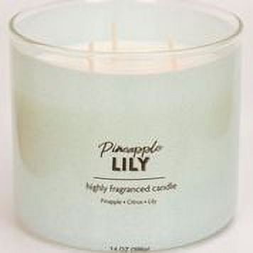 Mainstays Pineapple and Papaya Scented 3-Wick Candles,14 oz., 2-Pack