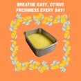 thumbnail image 4 of Citrrus Breeze Cat Litter – Premium Lightweight, Non-Clumping, Dust-Free Crystals for Odor Control, ScoopFree & Easy to Clean, Pretty Kitty Litter for Multi-Cat Homes, 4 of 7