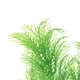 thumbnail image 5 of Peces artificiales para acuario, plantas acuáticas decorativas, paisaje, 5 of 7