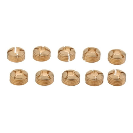 

Practical Repair Screws for The Repair of Golden of 10 Pieces 5.6 X 10.5 Mm