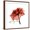 Brown Frame, variant on Art.com Ruby Rose 1 Stretched Canvas Print Wall Art by Albert Koetsier, 30" x 30"