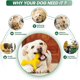thumbnail image 4 of Juguetes para masticar para perros grandes CHAO huesos indestructibles cepillo de dientes amarillo, 4 of 5