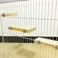 thumbnail image 4 of SPRING PARK Parrot Bird Cage Perches Square Wooden Stand Platform Budgie Toys Bird Tree Perches for Parakeets, 4 of 6