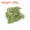 Light Yellow Green, variant on Uxcell 3.5 OZ Moss Preserved Moss Artificial Moss for Craft Floral Project Table Decor Rose Red