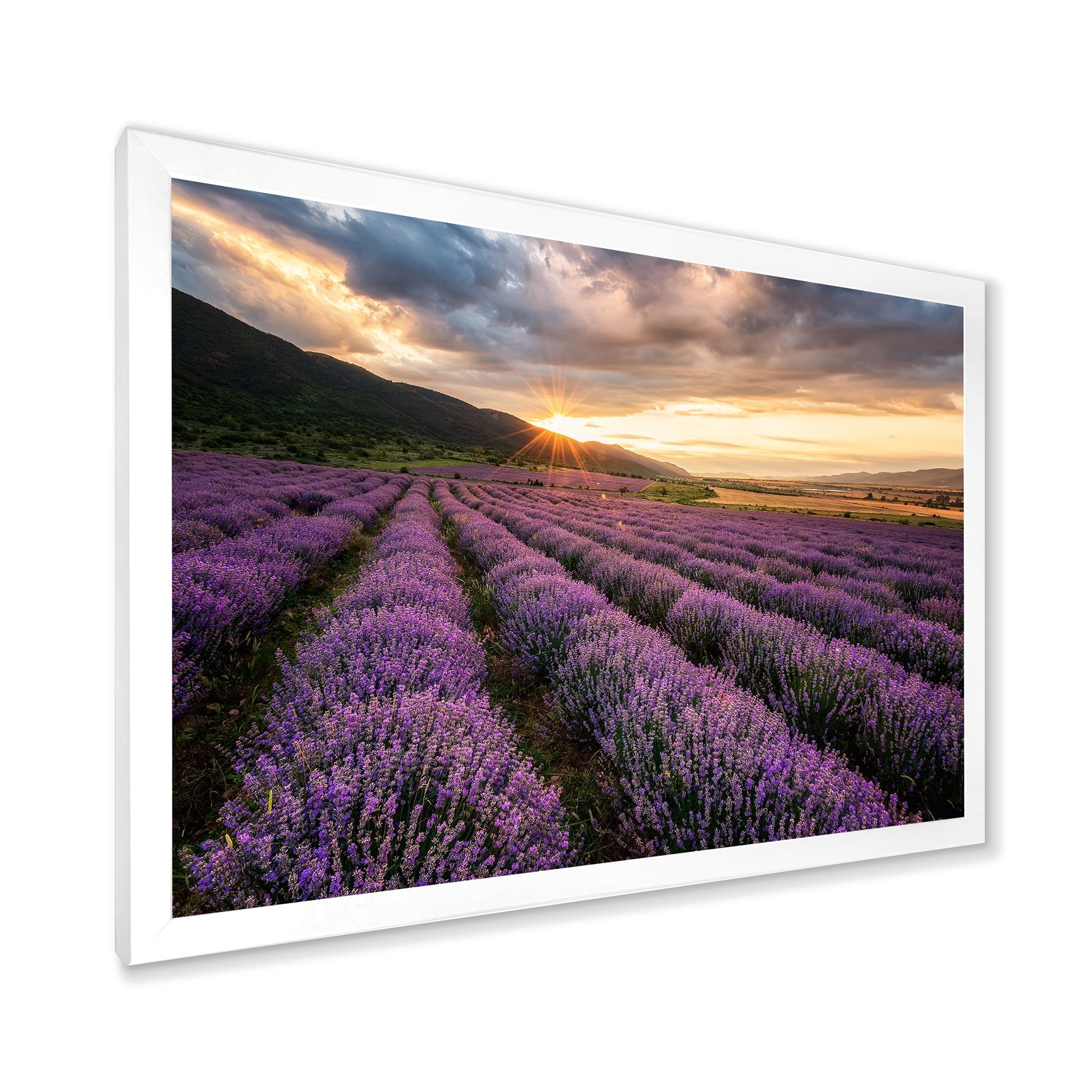 Designart 'Dramatic Clouds and Sunrise Over Lavender Field VI' Farmhouse Framed Art Print