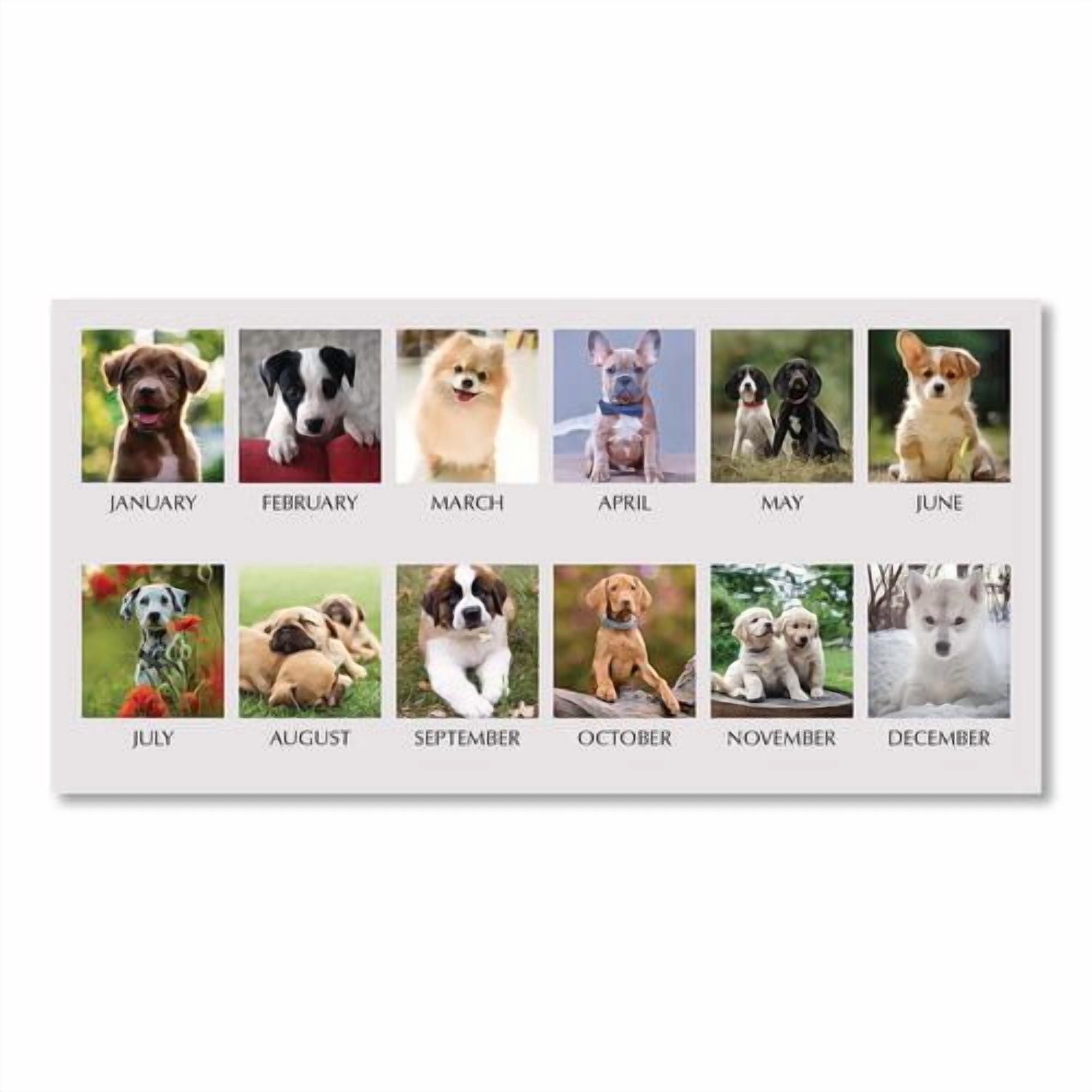 Earthscapes Recycled Desk Tent Monthly Calendar, Puppies Photography, 8.5 x 4.5, White Sheets, 12-Month (Jan to Dec): 2026 | Bundle of 10