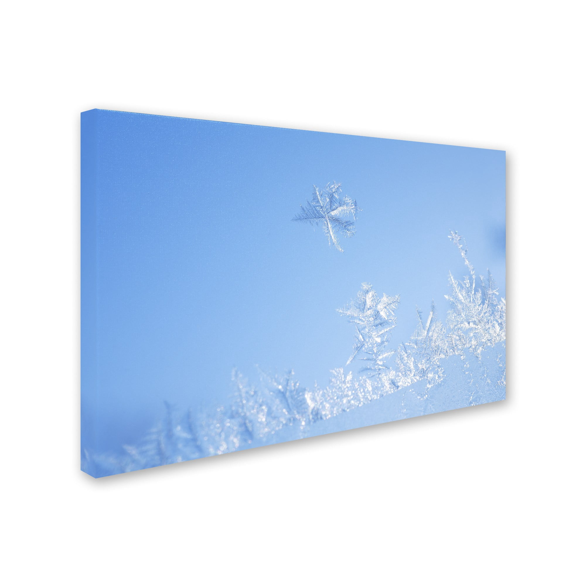 Trademark Fine Art "Window Frost" Canvas Art by Kurt Shaffer
