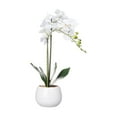 thumbnail image 1 of Anko Artificial Orchid in White Pot, 1 of 6