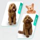 thumbnail image 5 of Cepillo de aseo para mascotas: peine rastrillo de doble cara para quitar y quitar la capa inferior para perros y gatos, extra ancho, azul, cepillo de aseo para perros, cepillo para quitar pelo de, 5 of 5