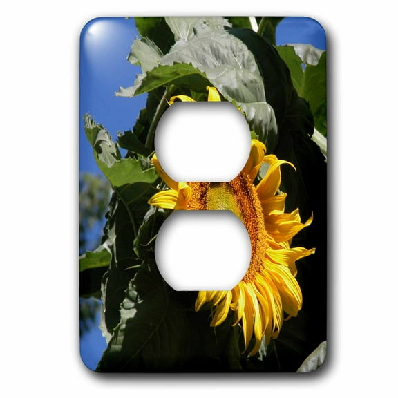 3dRose, Sunflower Close up, 2 plug outlet cover