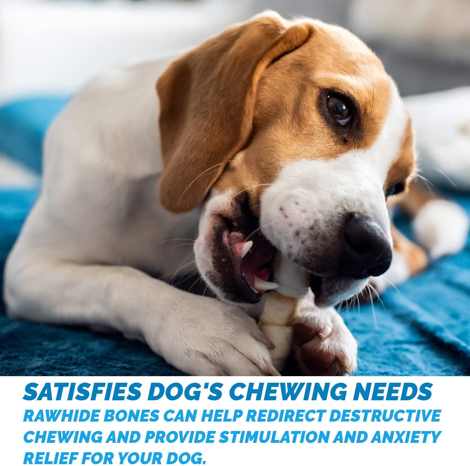 Rawhide Dog Bone Chews 3-4" | Premium Beef Hide Bones by 123 Treats (100 Bones)