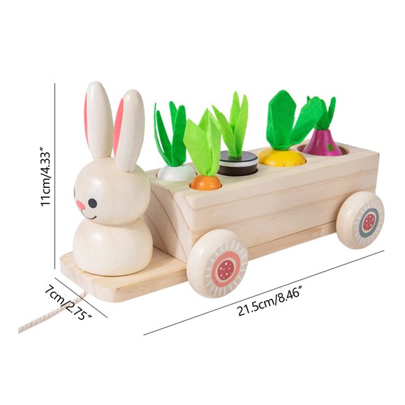 PVCS Wooden Of Toy For Toddlers - 1 Year Old Baby Toy Carrots | Fruit Shape And Sizes Sorting Wooden Puzzle Blocks Game Best Educational Toys Games Gift for Kids