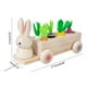 thumbnail image 2 of Fiudx Ofertas flash del día De Juguete De Madera Para Niños Pequeños - Zanahorias De Juguete Para Bebés De 1 Año Forma Y Tamaños De Frutas Juego De Bloques De Rompecabezas De Madera Juegos De Juguete, 2 of 4