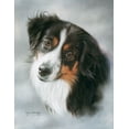 thumbnail image 2 of Harrison, Lesley 26x32 White Modern Wood Framed Museum Art Print Titled - Australian Shepherd, 2 of 4