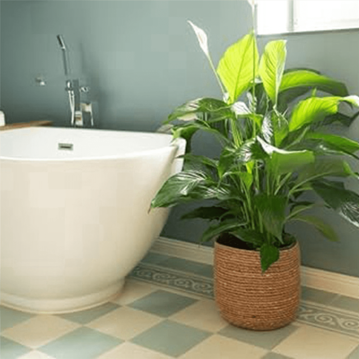 2X Seagrass Flower Pot - Woven Plant Decorative Basket with Plastic Film Insert in Boho Style S