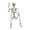 halloween skull B, variant on AGCAN 4 Packs Posable Halloween Hanging Skeleton Decoration, 16 Inch Halloween Decorations with Movable Joints for Graveyard Haunted House Props Decor Indoor Outdoor