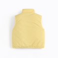 thumbnail image 5 of Fesfesfes Kids Unisex Stand Collar Full Zip Vest Lightweight Windproof Sleeveless Jacket Casual Sporty Outerwear for Boys Girls Ages 2-10 Years, 5 of 7