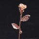 thumbnail image 3 of Broche Zulema de Flor Rosa Pin de Solapa para Camisa, 3 of 8
