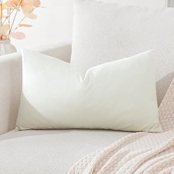 Eryueer Luxury Velvet Cushion Covers Super Soft Decorative Throw Pillow Covers Case Lumbar Cushion Cases for Sofa Couch Bedroom Car Decor 30x50cm Cream White