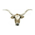 thumbnail image 3 of Popp, Grace 14x9 Black Modern Framed Museum Art Print Titled - Longhorn Steer II, 3 of 5