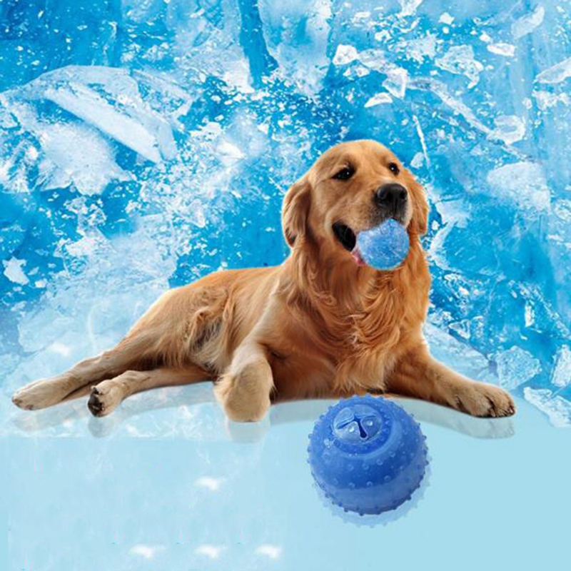 Funny Globe Pet Freeze Frozen Chew Toy Fetch Traning Play Chew Toy