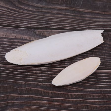 Parrot Bird Chews Super Large Bird Chew Toy, Parrot Birds Chewing Toys Parrot Cuttleb For Play