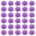 thumbnail image 1 of EeaseCA 100Pcs Diffuser Flowers Diffuser Chrysanthemum Aromatherapy Accessories, 1 of 7
